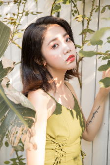 正在热播的电视剧